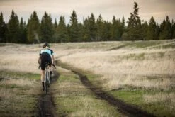 Shimano Desviador GRX Di2 RD-RX817 1x11 Velocidades Cambio Trasero 11 Velocidades | Bike-Discount -Shimano GRX d 1280x1280