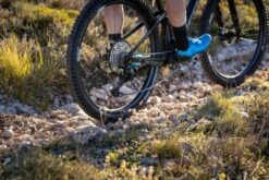 Shimano -Shimano Shimano SLX RD M7100 1x12 fach Schaltwerk 20072624 a 1280x1280